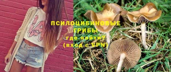 дживик Армянск