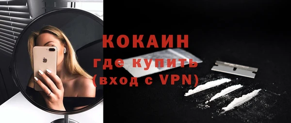 сатива Арсеньев