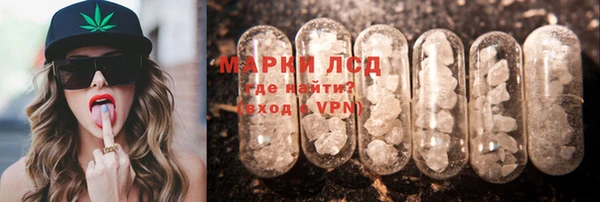 индика Алексин